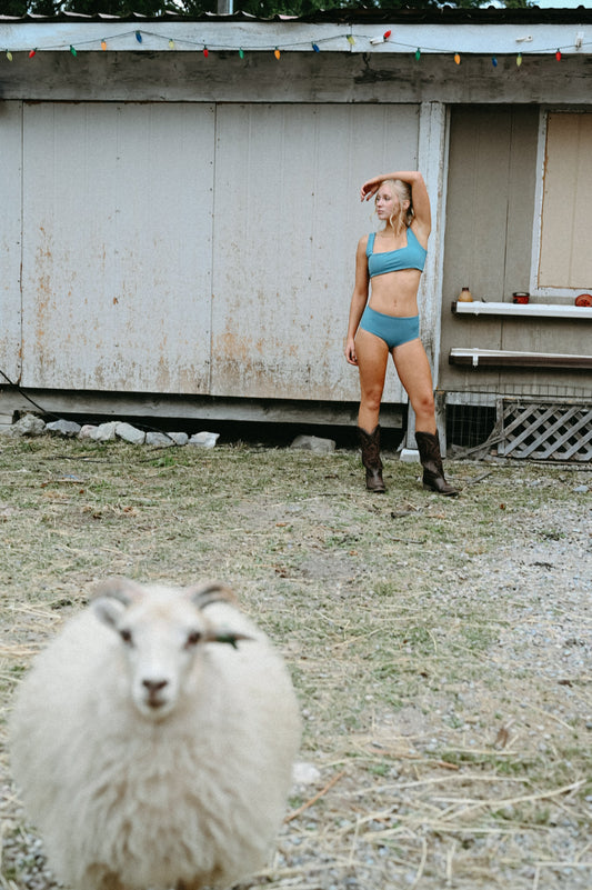 Why Merino Wool is better than cotton