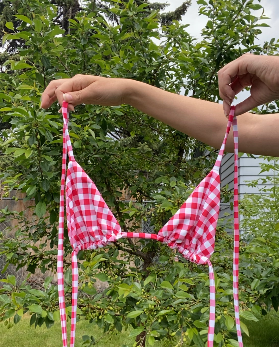 Effy Triangle Bikini Top
