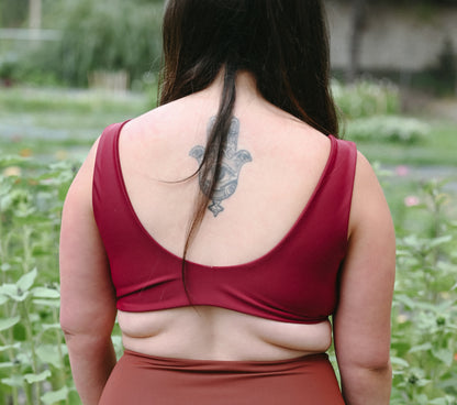 The Scarlet Bikini Top